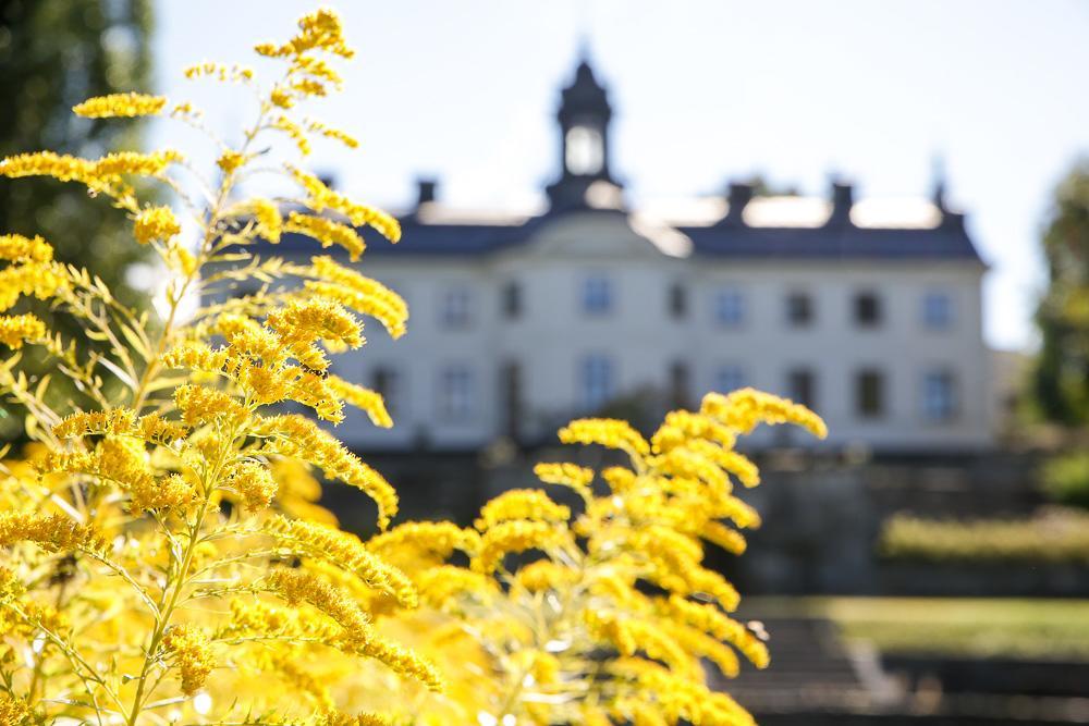 Bed and Breakfast Kaggeholms Slott Ekerö Exteriér fotografie